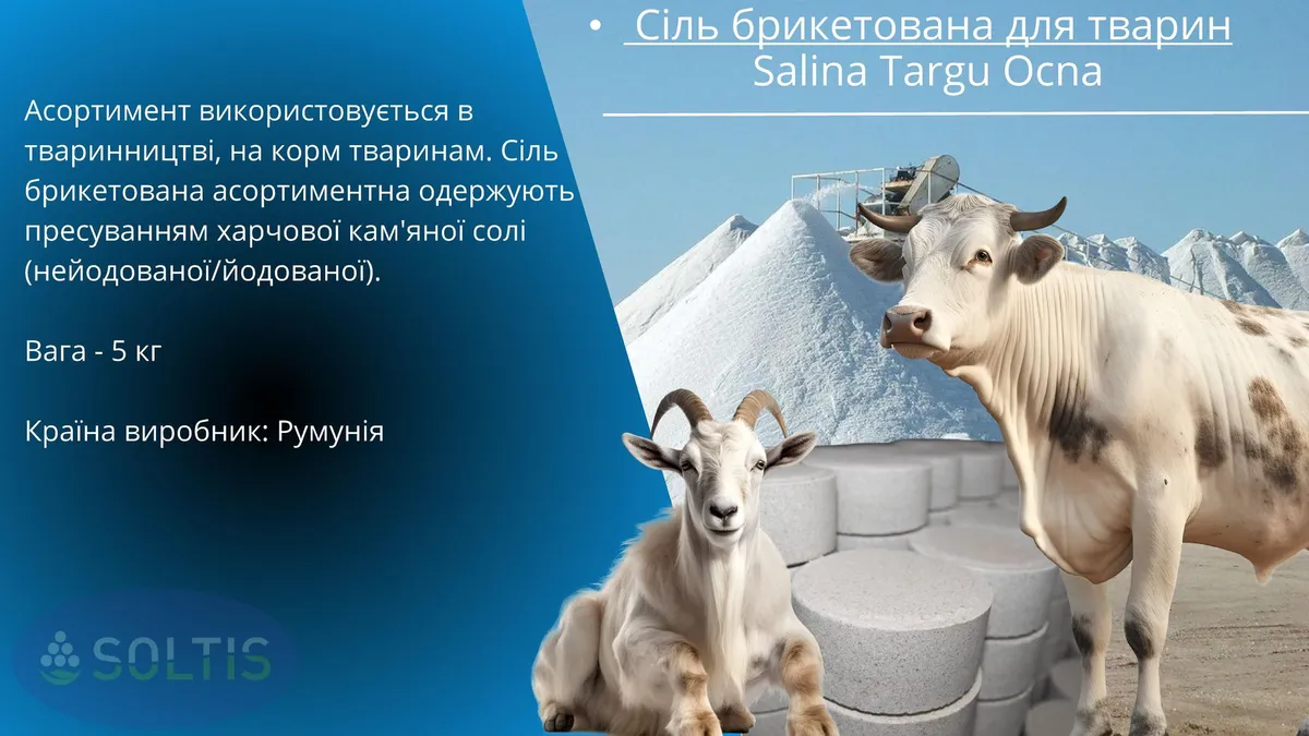 Сіль брикетована для тварин Salina Targu Ocna - фото 1